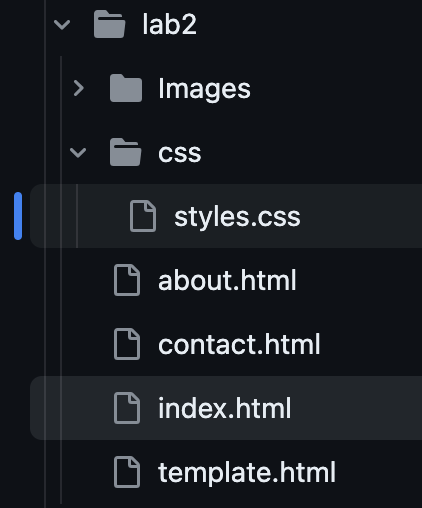 CSS File