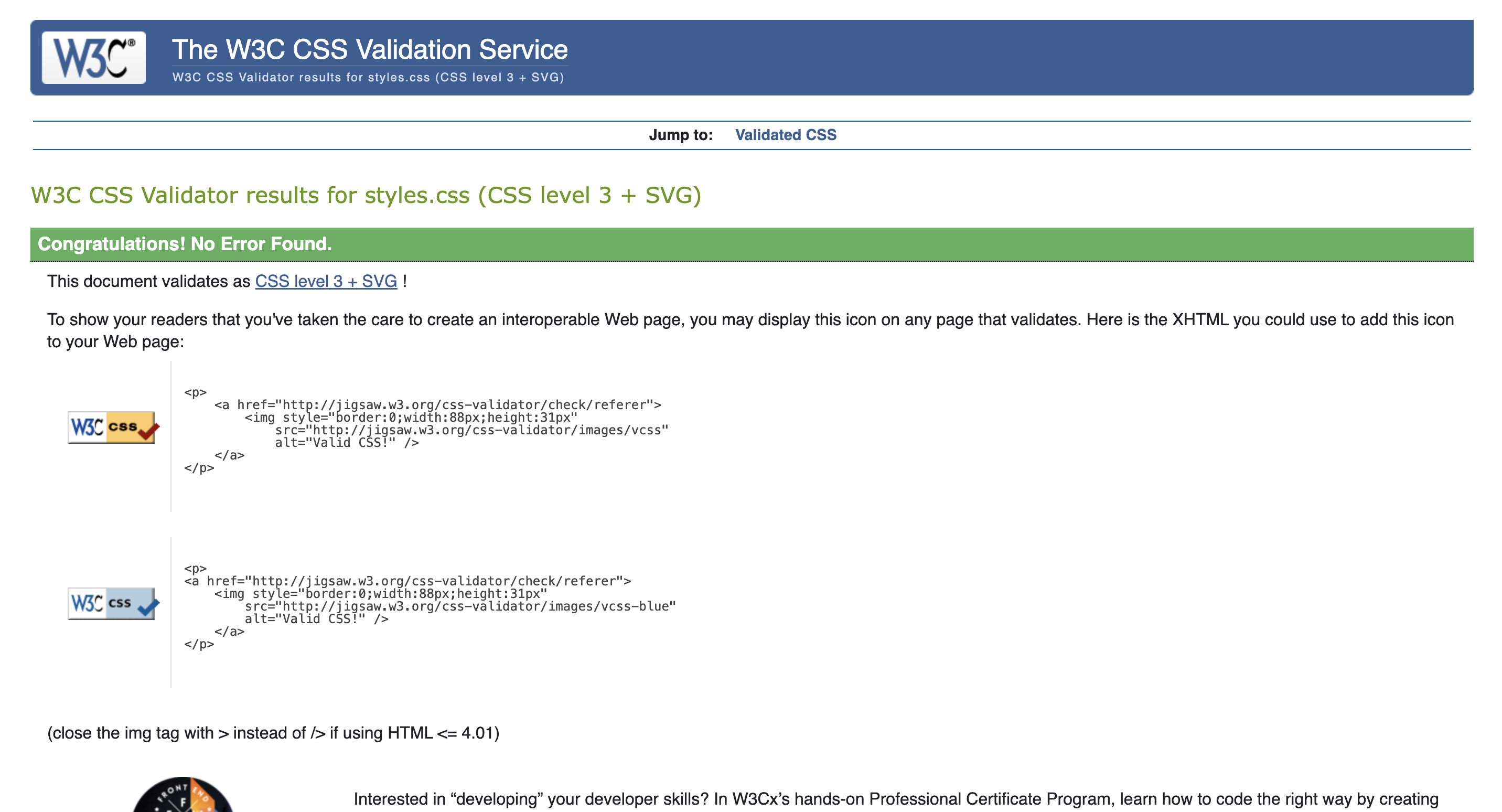 Good CSS Validation